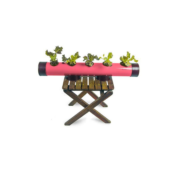 Pindpipe - Hydroponic Growing Kit for In-House Farming