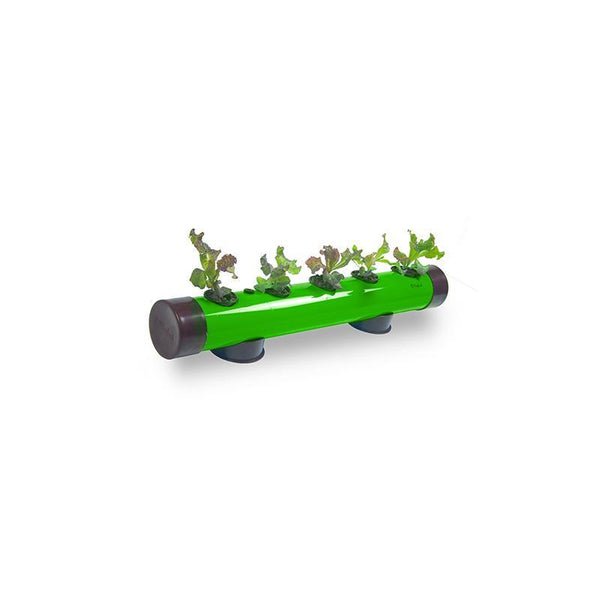 Pindpipe - Hydroponic Growing Kit for In-House Farming