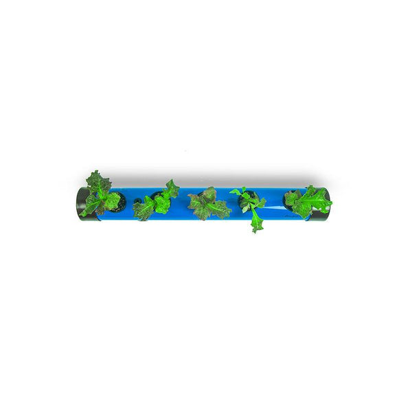 Pindpipe - Hydroponic Growing Kit for In-House Farming