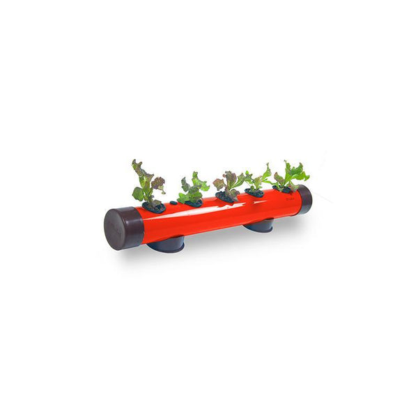 Pindpipe - Hydroponic Growing Kit for In-House Farming