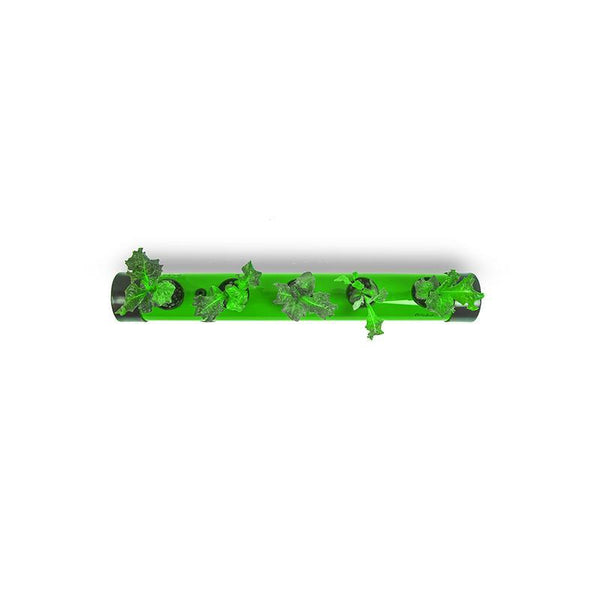 Pindpipe - Hydroponic Growing Kit for In-House Farming