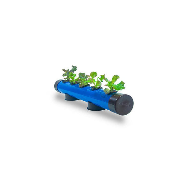 Pindpipe - Hydroponic Growing Kit for In-House Farming