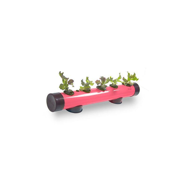 Pindpipe - Hydroponic Growing Kit for In-House Farming