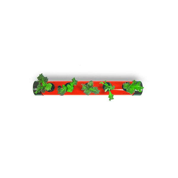 Pindpipe - Hydroponic Growing Kit for In-House Farming
