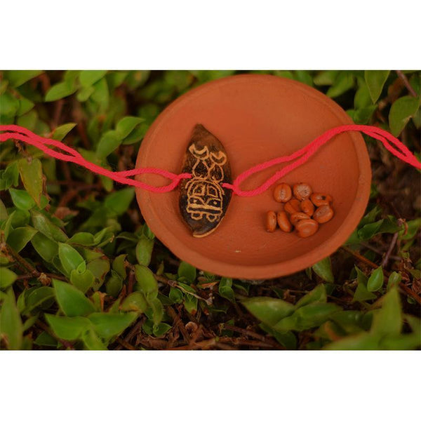 Plantable Seed Rakhi - Pink Cat Sis & Bro (Pack of 2)