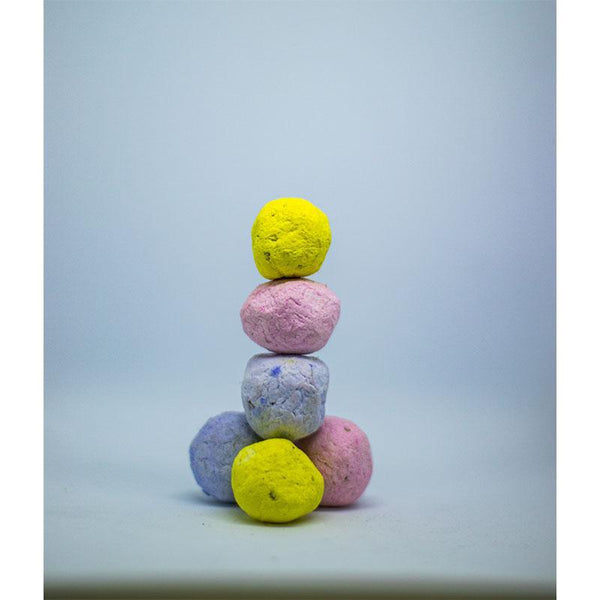 Pack of 30 Seed Bombs
