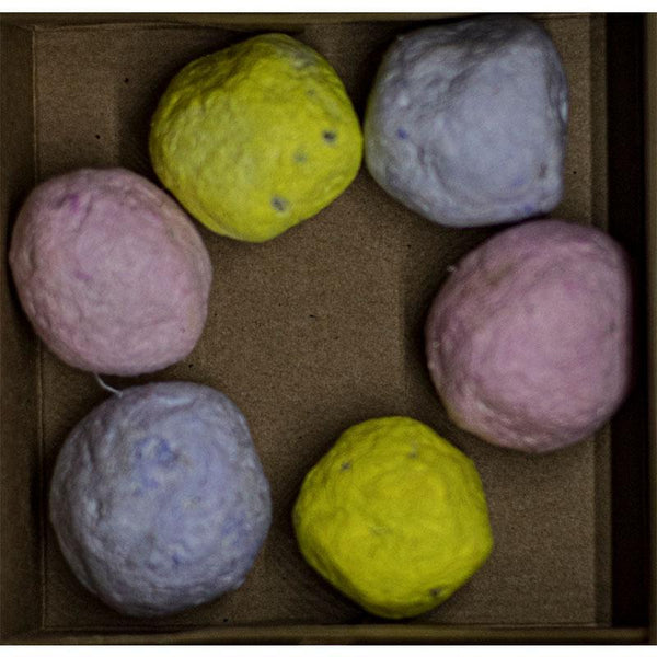 Pack of 30 Seed Bombs