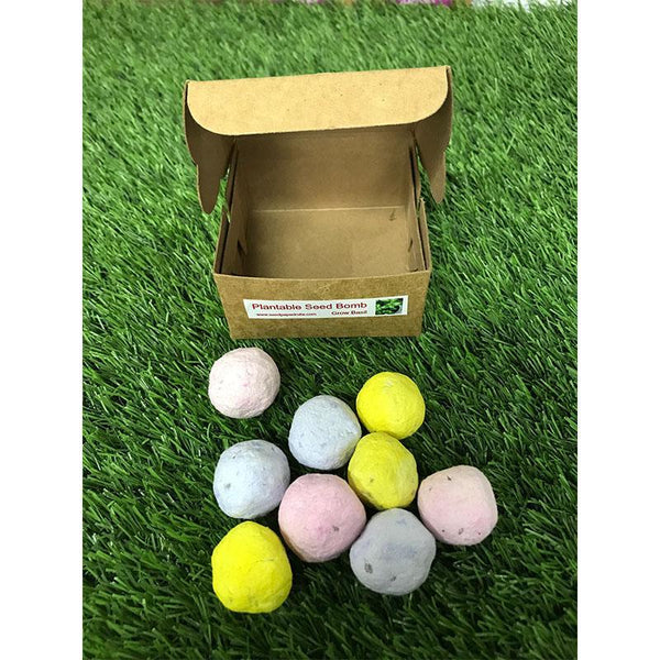 Plantable Seed Bombs (Pack of 15)