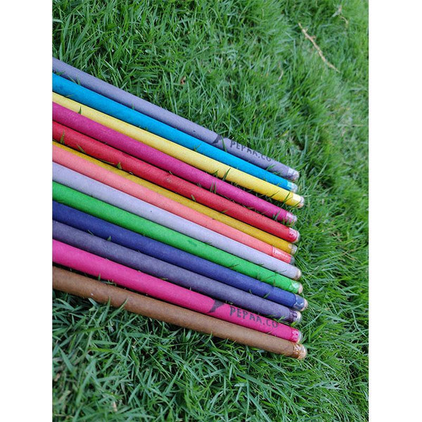 Plantable Seed Pencils Made from Recycled Paper (Pack of 50)