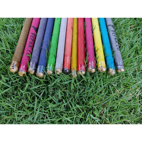 Plantable Seed Pencils Made from Recycled Paper (Pack of 50)