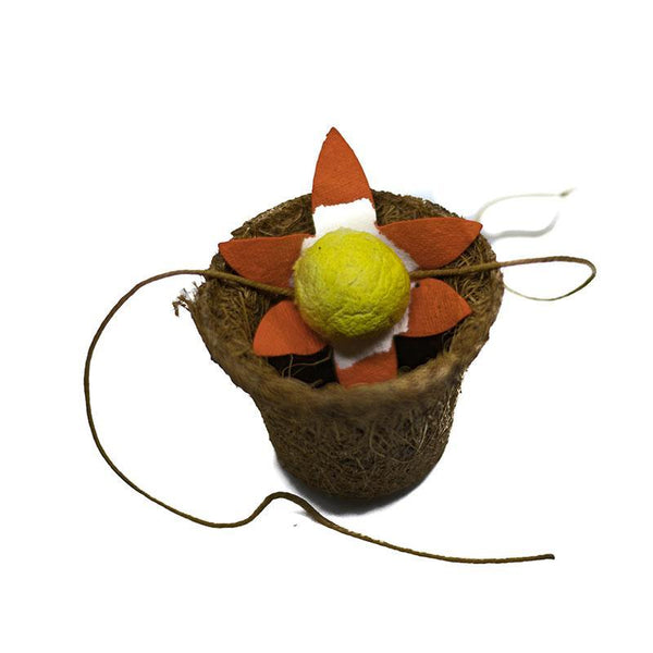 Handmade Plantable Seed Rakhi  Kit