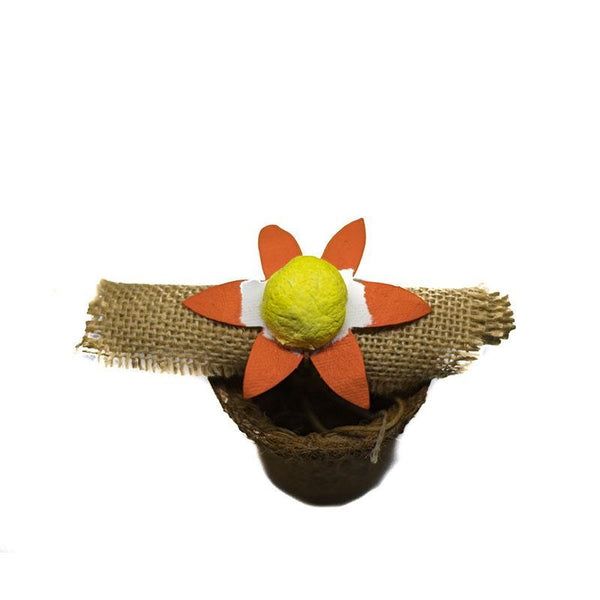 Handmade Plantable Seed Rakhi  Kit