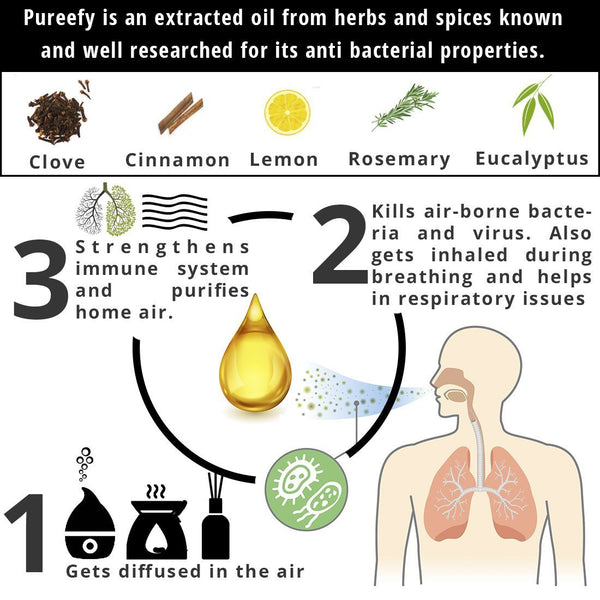 Pureefy Antibacterial Essential Oil (With Reeds), 250 gm