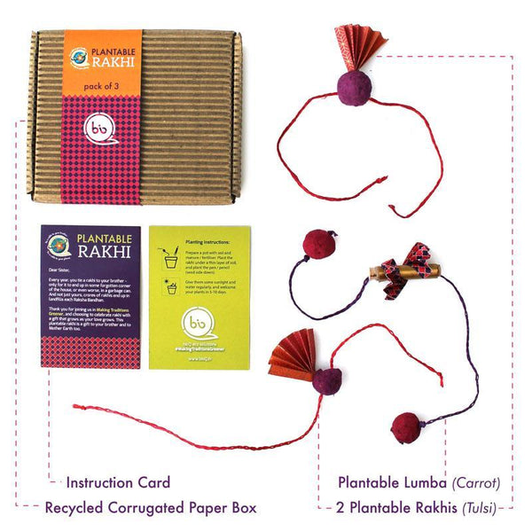 Eco-Friendly Rakhi Box Set with 2 Adult Plantable Seed Rakhis and 1 Plantable Seed Lumba