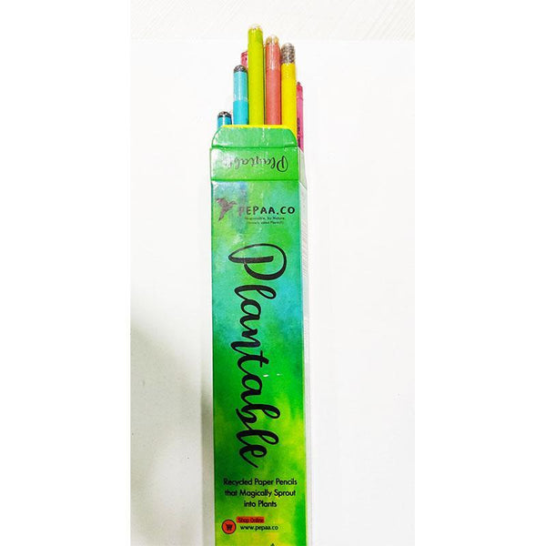 Assorted Recycled Paper Pencils - Set of 4 Packs