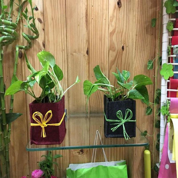 Recycled Grow Bag for Indoor and Outdoor Gardening - 10cm x 10cm x 10cm (Black)- Pack of 6