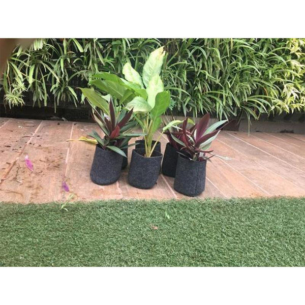 Recycled Grow Bag for Indoor and Outdoor Gardening - 13cm x 13cm x13cm  (Black)- Pack of 6