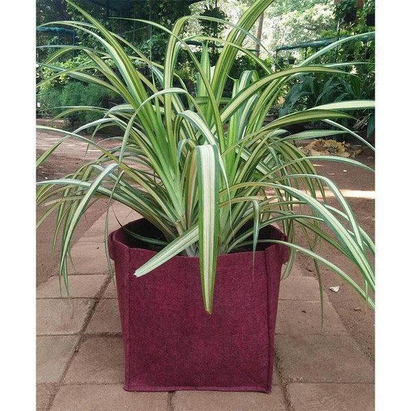 Recycled Grow Bag for Indoor and Outdoor Gardening - 23cm x 23cm x 23cm (Red)