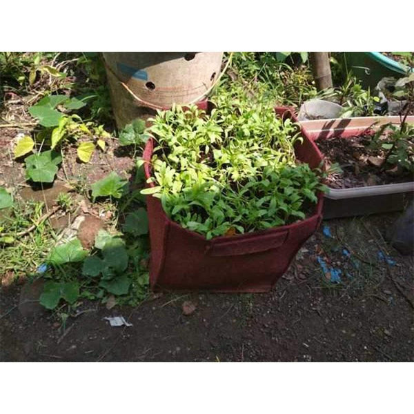 Recycled Grow Bag for Indoor and Outdoor Gardening - 25cm*25cm (Red)- Pack of 2
