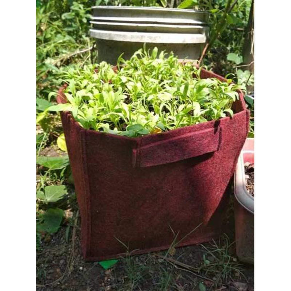 Recycled Grow Bag for Indoor and Outdoor Gardening - 25cm*25cm (Red)- Pack of 2