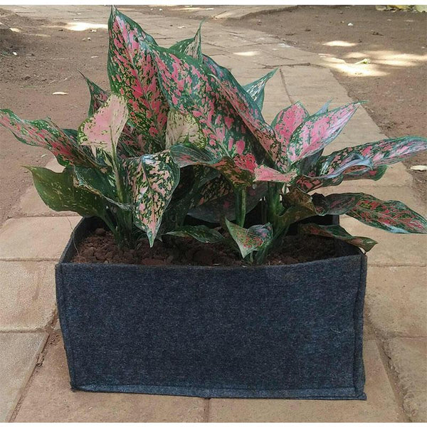 Recycled Grow Bag for Indoor and Outdoor Gardening - 28cm x 14cmx 14cm (Black)