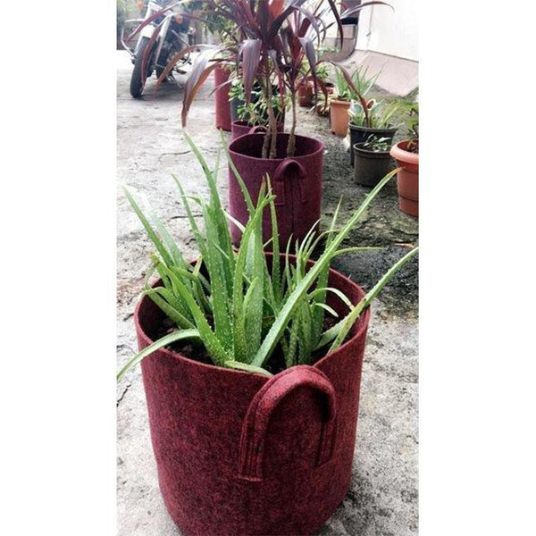 Recycled Grow Bag for Indoor and Outdoor Gardening - 30cm * 30cm (Red)- Pack of 3