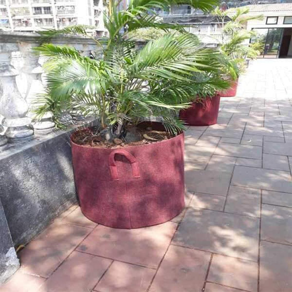 Recycled Grow Bag for Indoor and Outdoor Gardening - 38cm * 38cm (Red)- Pack of 2