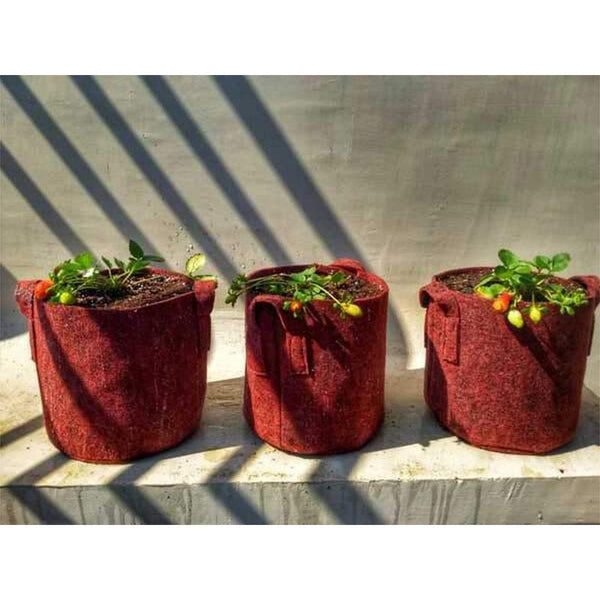 Recycled Grow Bag for Indoor and Outdoor Gardening - 38cm * 38cm (Red)- Pack of 2