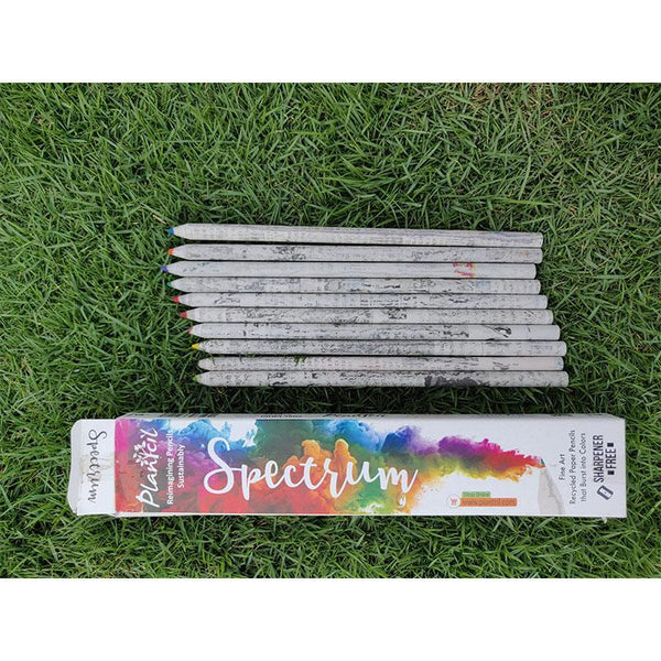 Recycled Newspaper Colour Pencils (Pack of 50)
