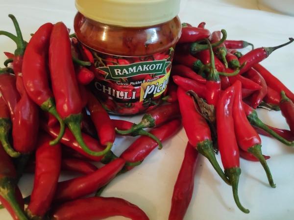 Red Chilli- Pandumirchi Pickle, 1 Kg