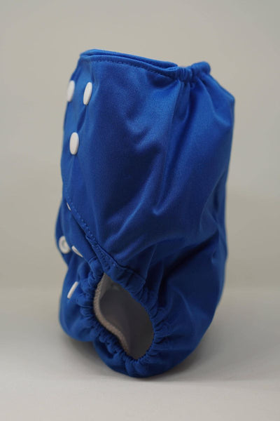 Regular Economic Reusable Cloth Cover Diaper - Blue