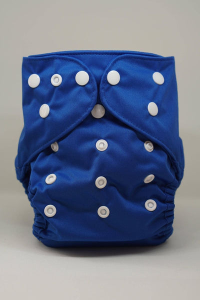 Regular Economic Reusable Cloth Cover Diaper - Blue