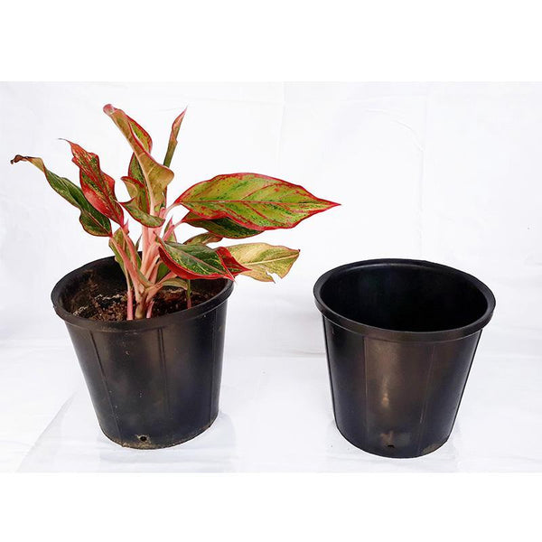 Rubber Pots Made from Upcycled Tyres - Black (Pack of 5)