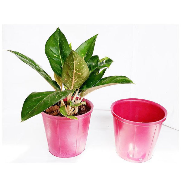 Rubber Pots Made from Upcycled Tyres - Red (Pack of 10)