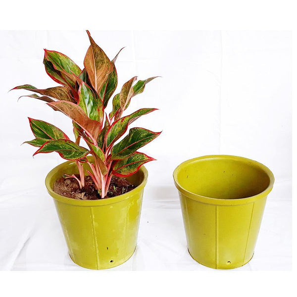 Rubber Pots Made from Upcycled Tyres - Green (Pack of 5)