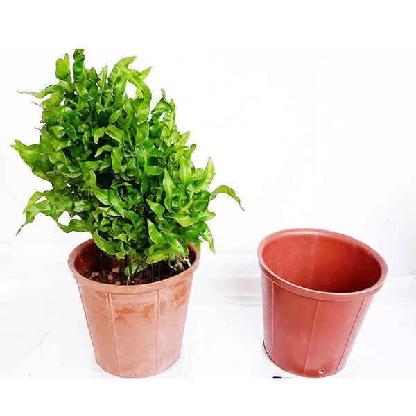 Rubber Pots Made from Upcycled Tyres - Pink (Pack of 2)