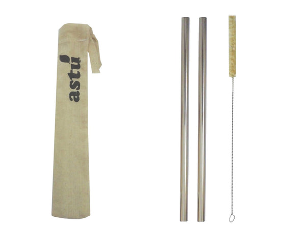 Set of 2 Reusable Steel Straws with Cleaner