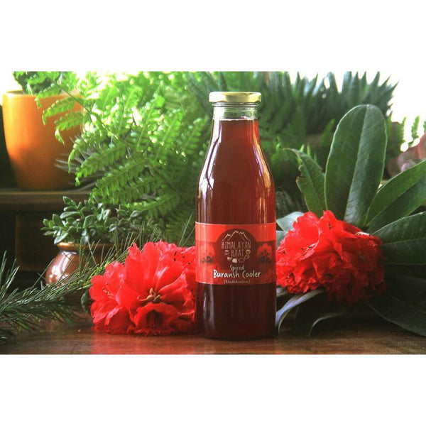Spiced Buransh Cooler, 500ml