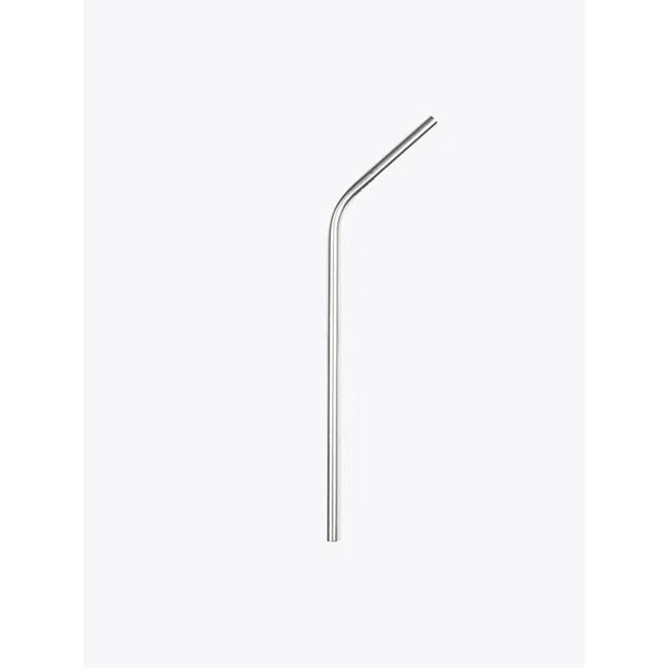 Reusable Stainless Steel Straw