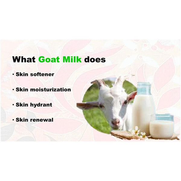 Teatree, Mint, Eucalyptus and Activated Charcoal Antiseptic Soap with Goat Milk and Essential Oils, 125g