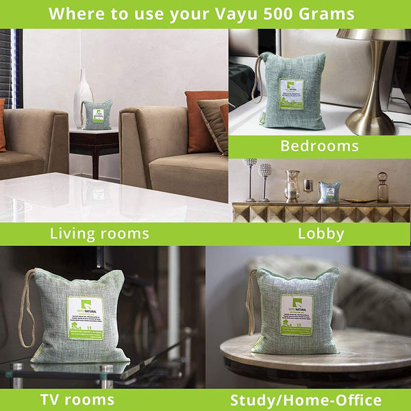Vayu Natural Air Purifying Bag, 500 g