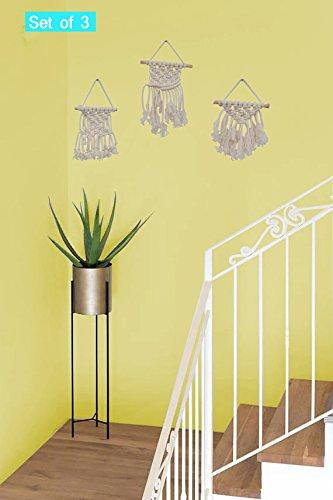 Mini Beauties Macrame Wall Hangings Handmade By Women Artisans (Set of 3)