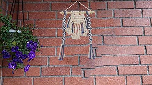 Braided Beauty Macrame Wall Hanging Handmade by Women Artisans