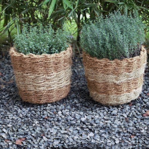 Coir Planter (wev-medium)