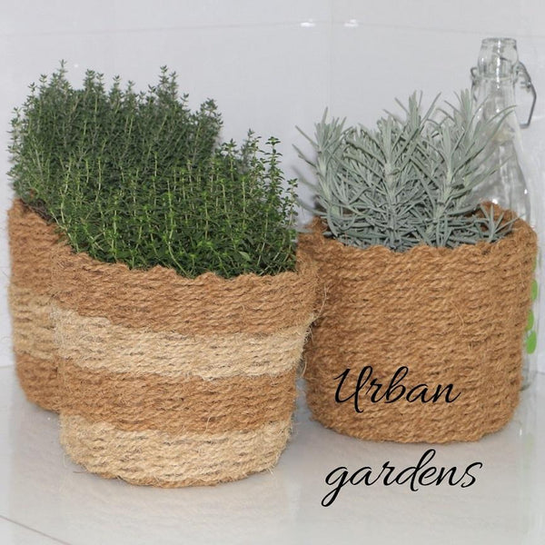 Coir Planter (wev-medium)