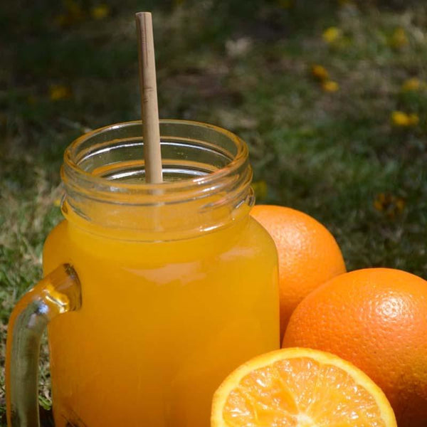 Reusable Bamboo Straw