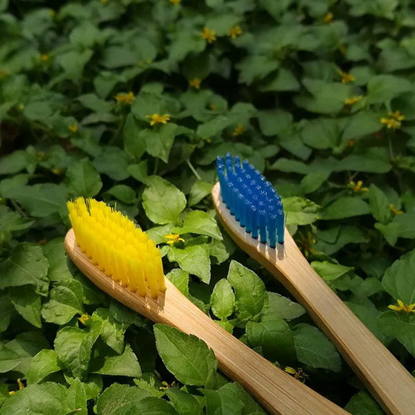 Bamboo Toothbrushes (Set of 4)