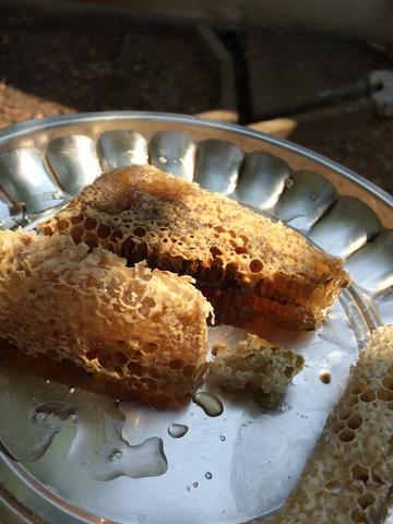 Honey and Spice Honeycomb in Honey (500gms)