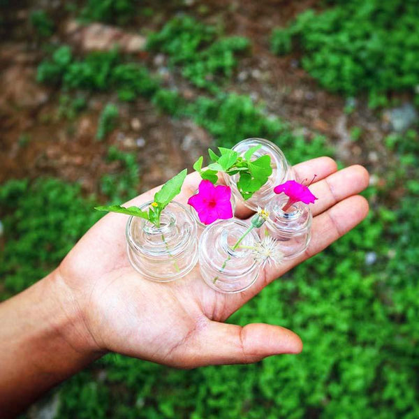 Upcycled Mini Glass Vases (Set of 5)