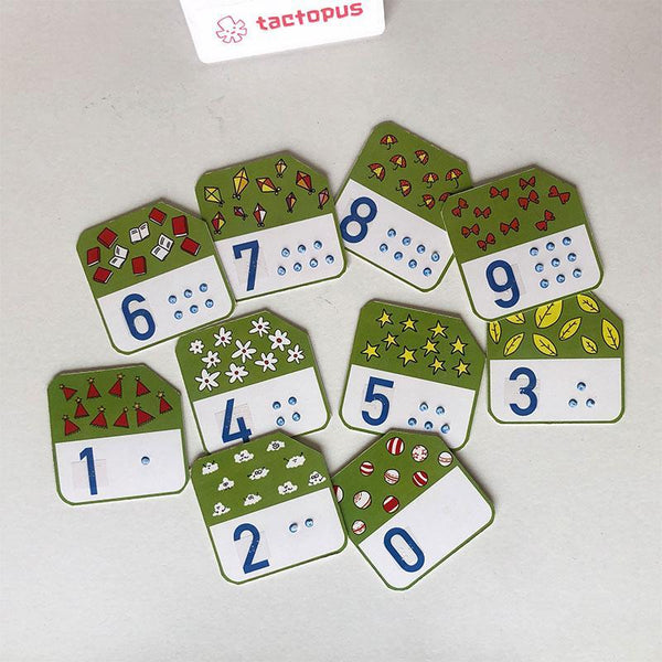 My Counting Cards - Tactile, Large-Print, Braille Number Cards for Children With Learning Disabilities and/ or Vision Impairment